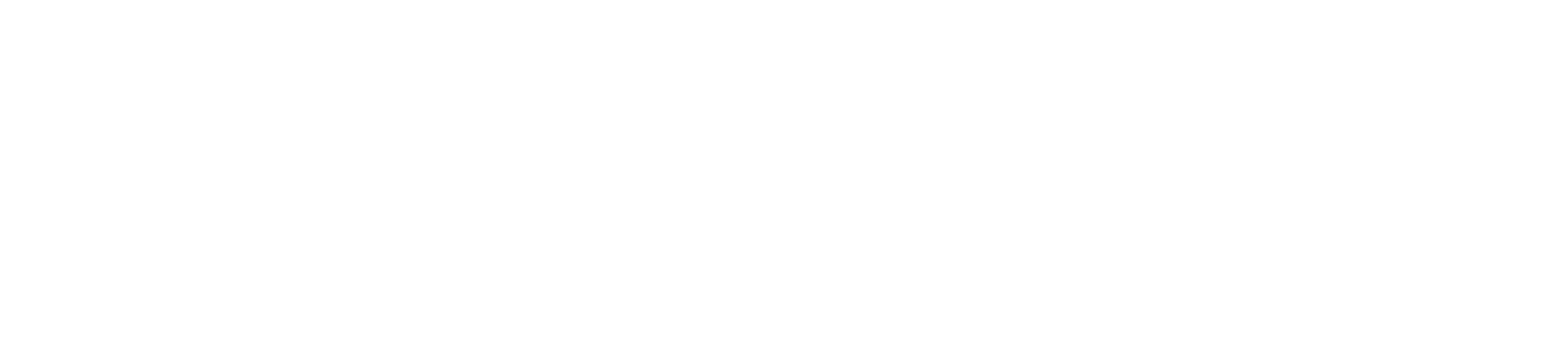 Daneli Partners Logo